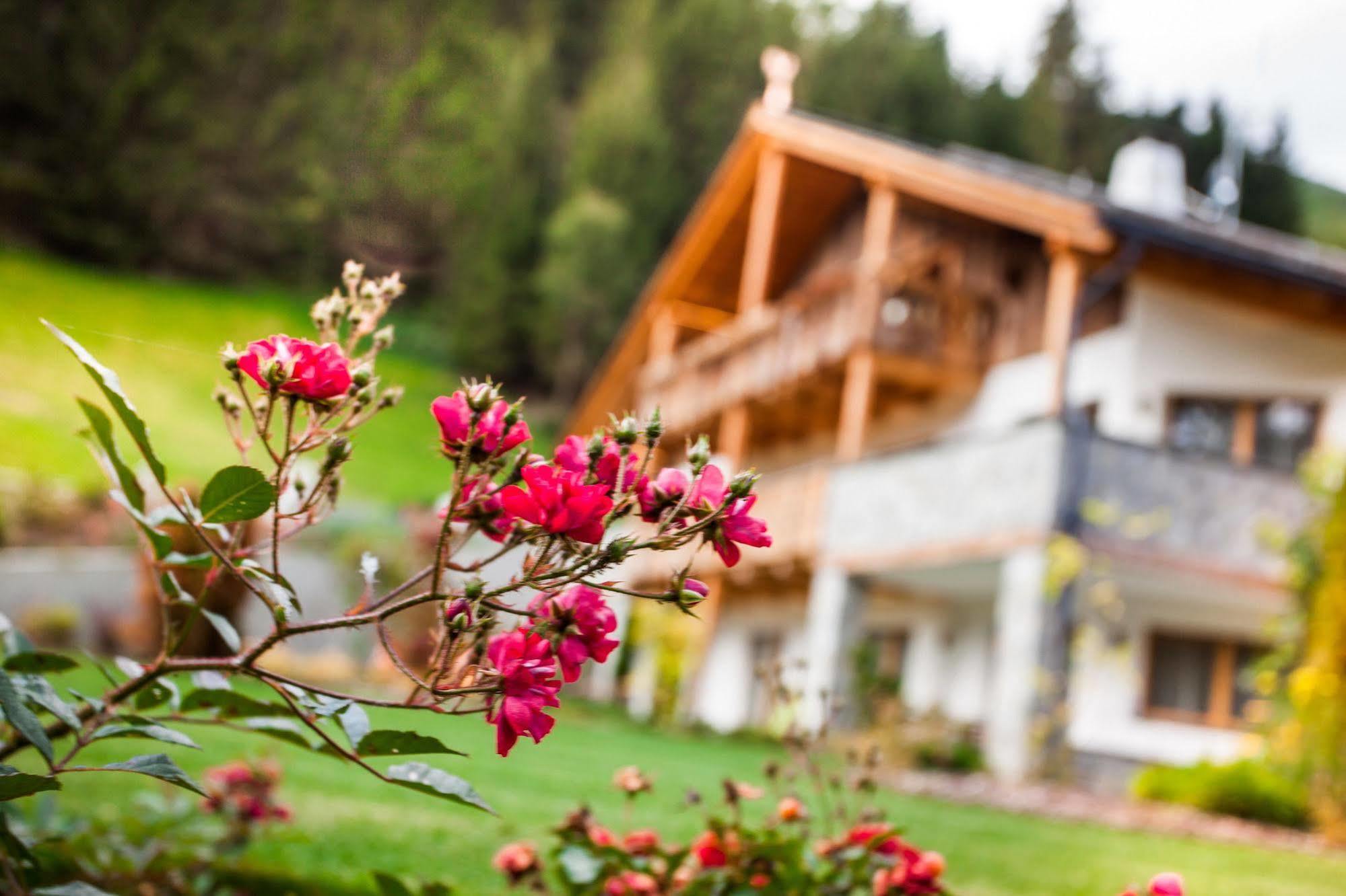 Alpine Mountain Chalet ซาน วิจลิโอ ดิ มาเรบเบ ภายนอก รูปภาพ